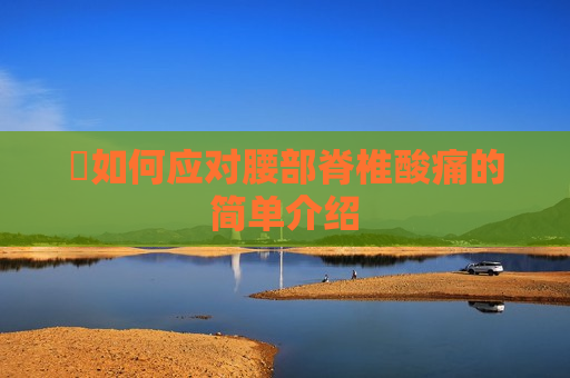 ​如何应对腰部脊椎酸痛的简单介绍