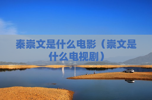 秦崇文是什么电影（崇文是什么电视剧）