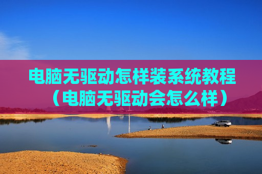 电脑无驱动怎样装系统教程（电脑无驱动会怎么样）