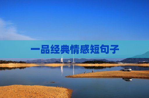 一品经典情感短句子