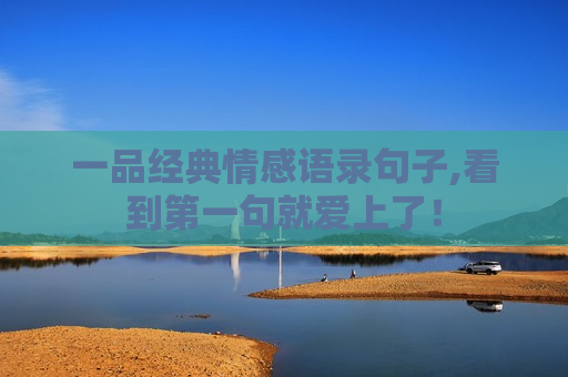 一品经典情感语录句子,看到第一句就爱上了！