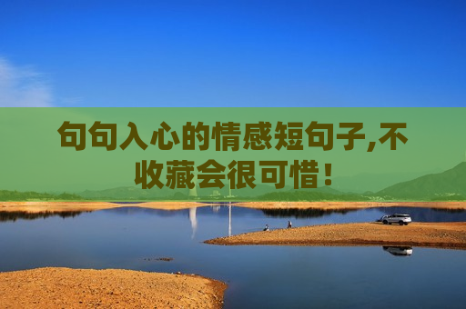 句句入心的情感短句子,不收藏会很可惜！