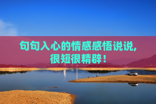 句句入心的情感感悟说说,很短很精辟！