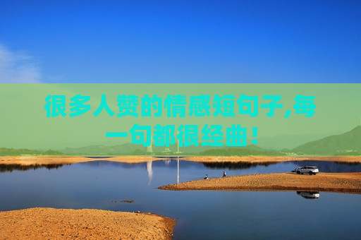 很多人赞的情感短句子,每一句都很经曲！