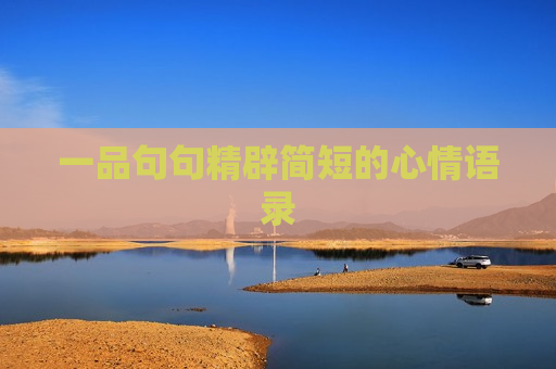 一品句句精辟简短的心情语录