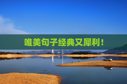 唯美句子经典又犀利！