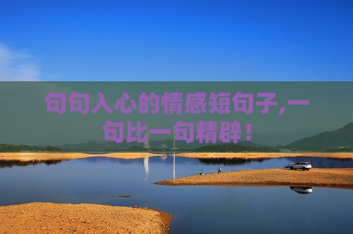 句句入心的情感短句子,一句比一句精辟！