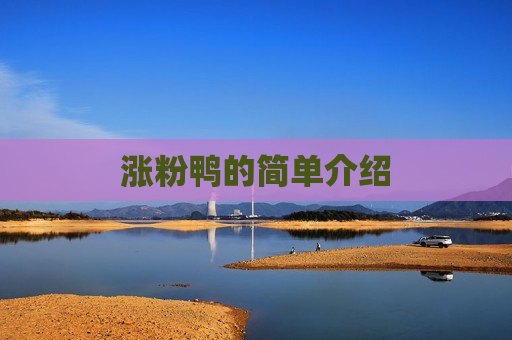涨粉鸭的简单介绍