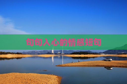 句句入心的情感短句