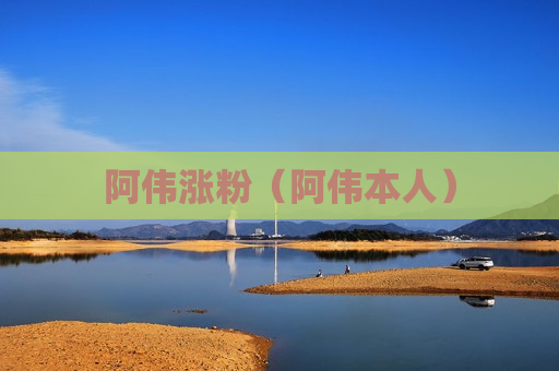 阿伟涨粉（阿伟本人）