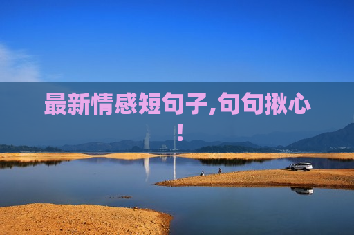 最新情感短句子,句句揪心！