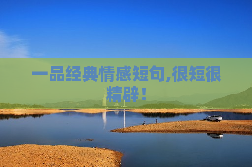 一品经典情感短句,很短很精辟！