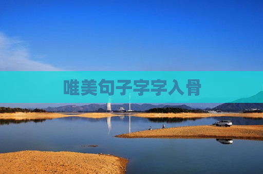 唯美句子字字入骨