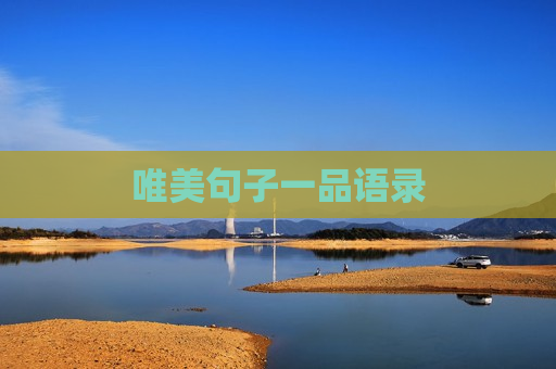 唯美句子一品语录