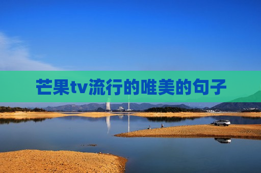 芒果tv流行的唯美的句子