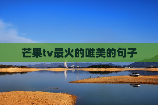 芒果tv最火的唯美的句子