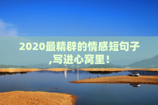2020最精辟的情感短句子,写进心窝里！