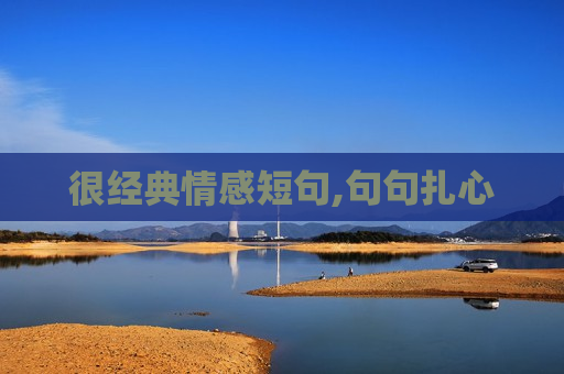 很经典情感短句,句句扎心