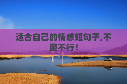 适合自己的情感短句子,不服不行！