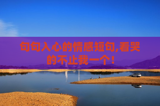 句句入心的情感短句,看哭的不止我一个！