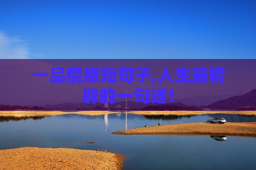 一品情感短句子,人生最精辟的一句话！