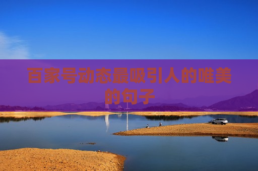 百家号动态最吸引人的唯美的句子