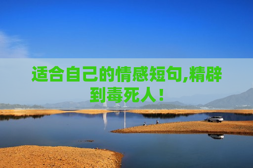 适合自己的情感短句,精辟到毒死人！