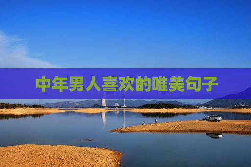 中年男人喜欢的唯美句子
