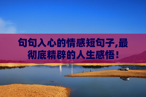 句句入心的情感短句子,最彻底精辟的人生感悟！