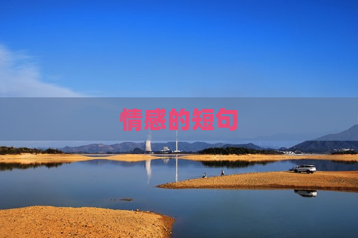 情感的短句