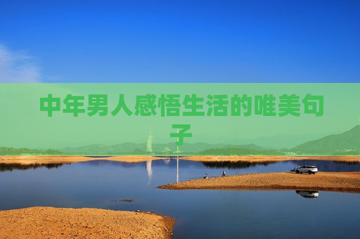 中年男人感悟生活的唯美句子