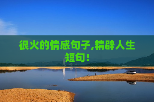 很火的情感句子,精辟人生短句！