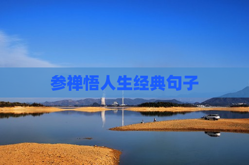 参禅悟人生经典句子