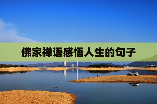 佛家禅语感悟人生的句子