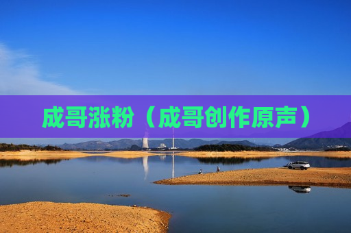成哥涨粉（成哥创作原声）