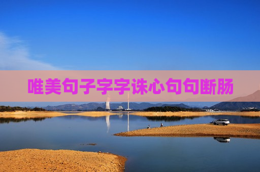 唯美句子字字诛心句句断肠