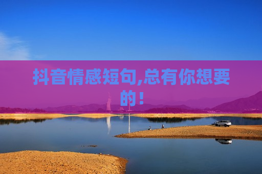 抖音情感短句,总有你想要的！