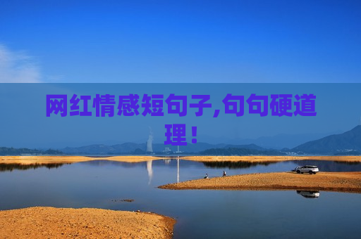 网红情感短句子,句句硬道理！