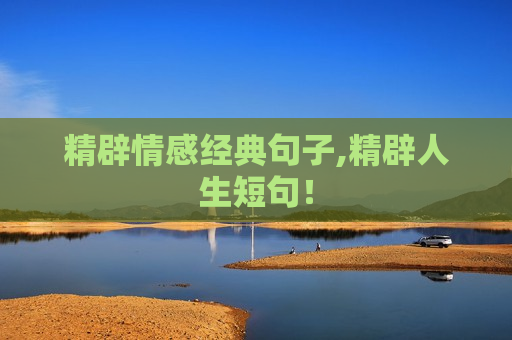 精辟情感经典句子,精辟人生短句！