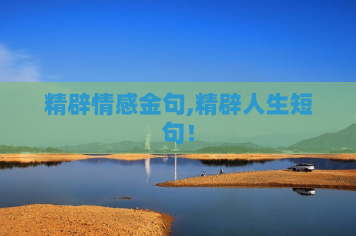 精辟情感金句,精辟人生短句！