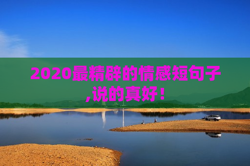 2020最精辟的情感短句子,说的真好！