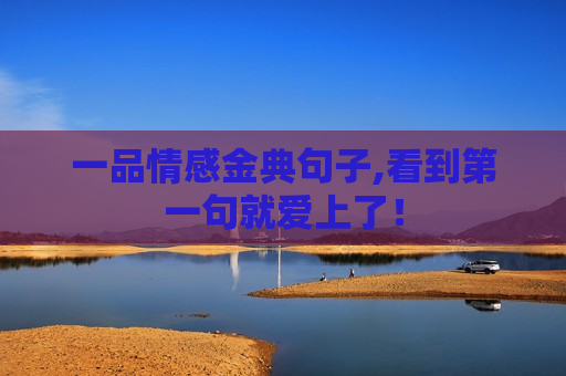 一品情感金典句子,看到第一句就爱上了！