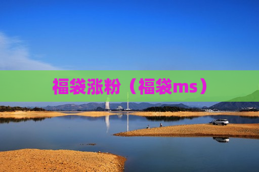 福袋涨粉（福袋ms）