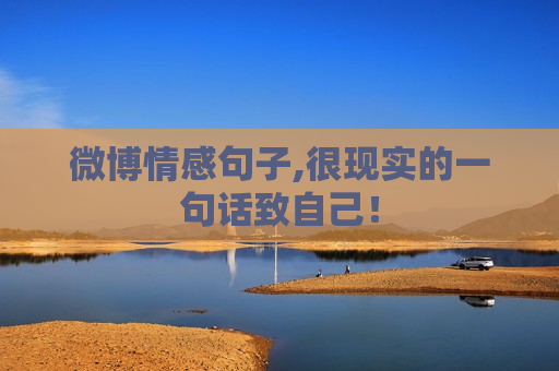 微博情感句子,很现实的一句话致自己！