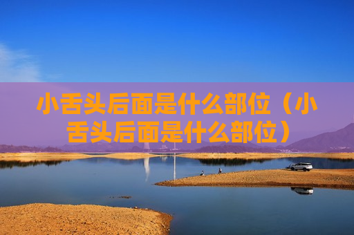 小舌头后面是什么部位（小舌头后面是什么部位）