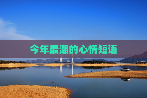 今年最潮的心情短语