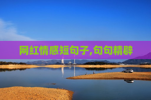 网红情感短句子,句句精辟