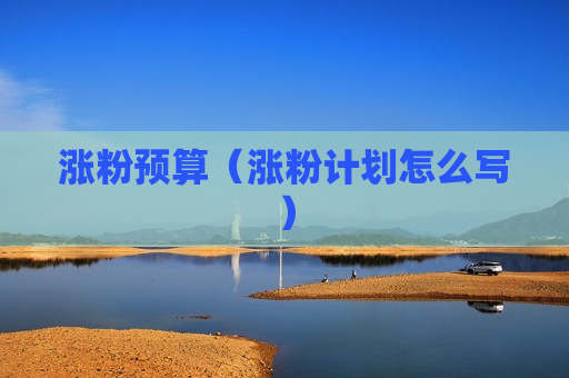 涨粉预算（涨粉计划怎么写）