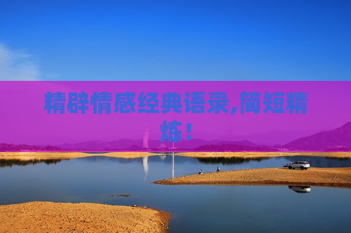 精辟情感经典语录,简短精炼！