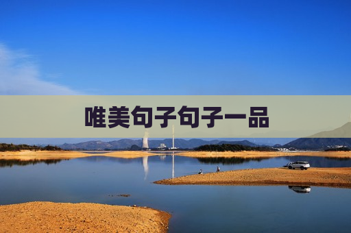 唯美句子句子一品